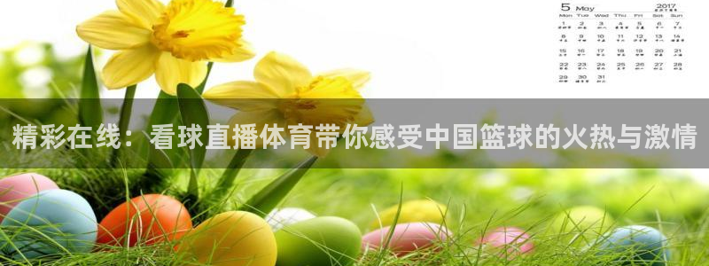 精彩在线：看球直播体育带你感受中国篮球的火热与激情